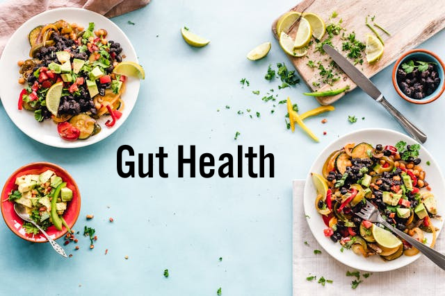 gut-health